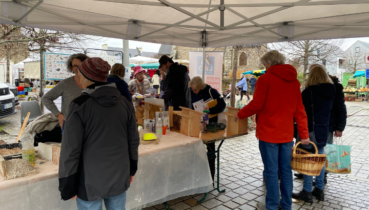 À Arradon, on a fabriqué des nids d'<strong>hirondelle</strong>s en décembre